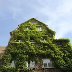 Bed & Breakfast Am Ratshof