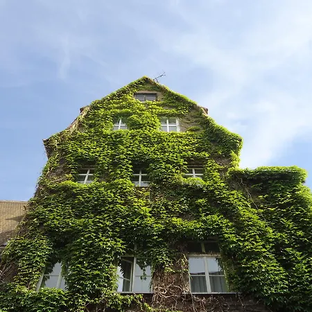 Hotel Am Ratshof