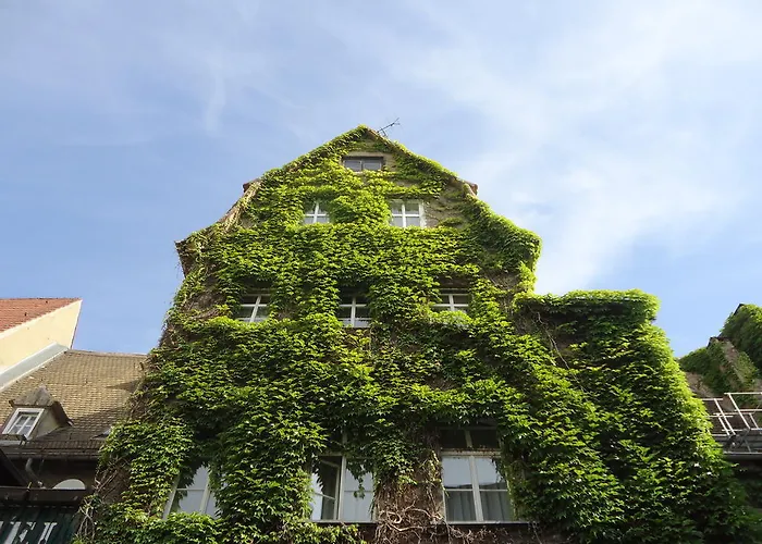 Bed & Breakfast Hotel-pension Am Ratshof